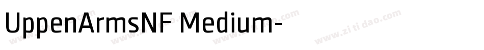 UppenArmsNF Medium字体转换
